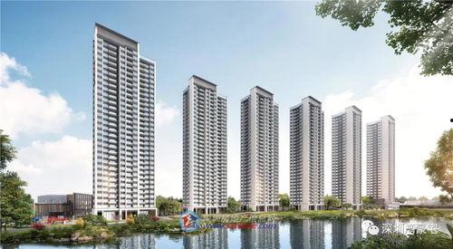 金辰御府最新爆料新闻视频,揭秘高端豪宅背后的故事与争议  第2张