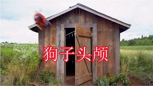 免费吃瓜群小木屋,揭秘网络社交新趋势 第3张 免费吃瓜群小木屋,揭秘网络社交新趋势 第3张